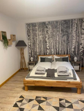 Forest Apartment-Forest Escape Menzenschwand
